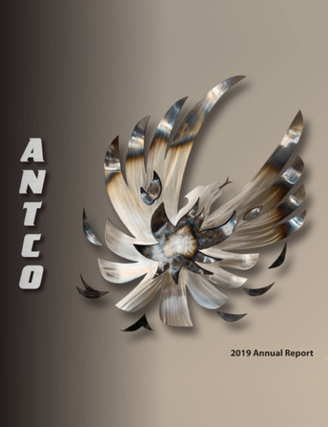 Annual Report, 2019 cover image