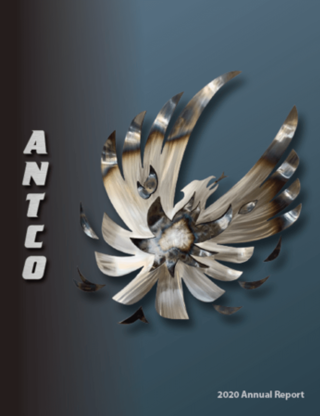 Annual Report, 2020 cover image